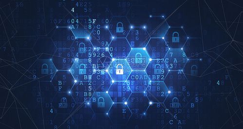 2025年入門網(wǎng)絡(luò)空間安全 前景、路徑與專精方向解析